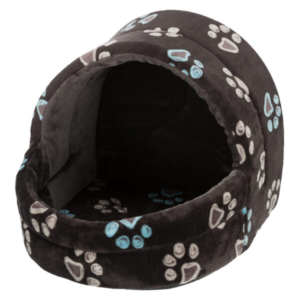 Gruta Jimmy, igloo, gatos