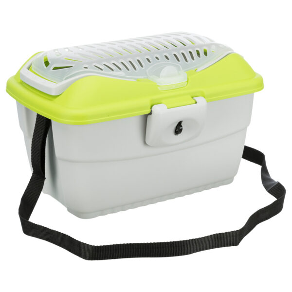 transportadora, mini capri, coelho