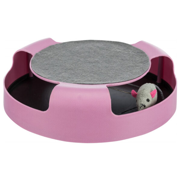 catch the mouse,brinquedo,gato