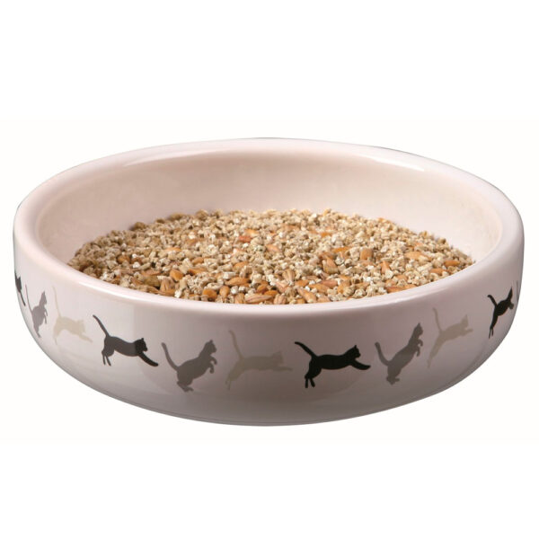 erva p/gato,catnip,erva gateira,semente,semear