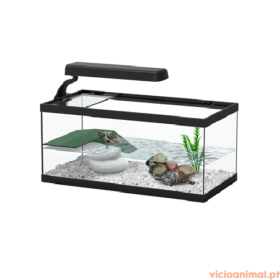 Tartarugueira Tortum