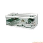 Tartarugueira Tortum - Imagem 3