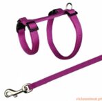 Trela c/ Peitoral p/ Coelhos