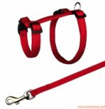 Trela c/ Peitoral p/ Coelhos - Imagem 2