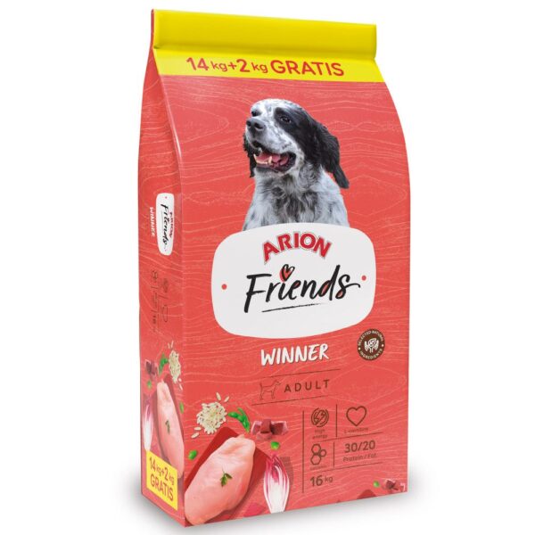 Arion Friends Winner