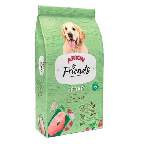 arion friends bravo,friends,arion