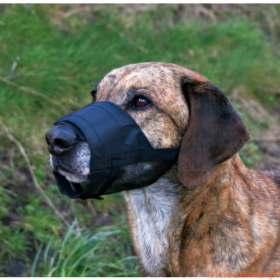 Açaime Ajustável em Nylon