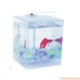 Mini Aquário Aquabox p/Betta
