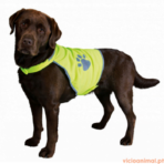 Colete Reflector Safety Light