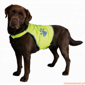 Colete Reflector Safety Light