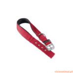 Coleira Daytona - Imagem 2