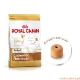 Royal Canin Labrador 12 Kg