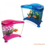 Aquário Marina Cool 10 Lts