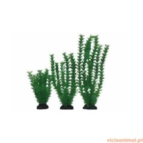 Planta Plástica - Cabomba