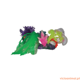 Plantas Aquáticas Sortidas