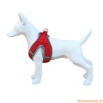 Peitoral Soft - Imagem 3