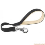 Trela Daytona - Imagem 2