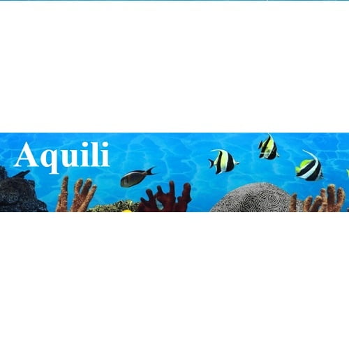 Aquili Aquili