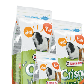 Crispy Muesli Guinea Pigs