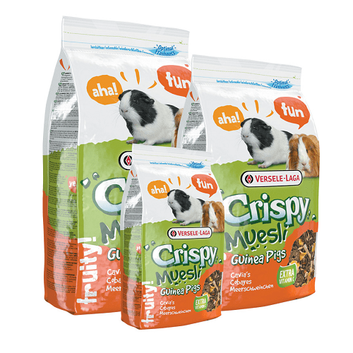 Crispy Muesli Guinea Pigs,versele-laga,crispy muesli,porquinho-da-india