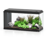 Aquário Led Bio - Imagem 3