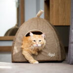 Iglo Nature - Imagem 4