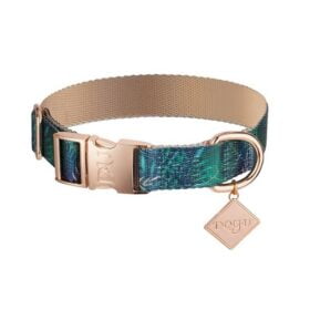 Dog.U Coleira Amazónia