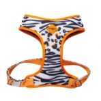 Dog.U Peitoral Bold Africa