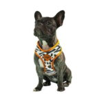 Dog.U Peitoral Bold Africa - Imagem 2