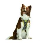 Dog.U Trela New York - Imagem 2