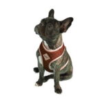 Dog.U Peitoral Bold Paris - Imagem 2