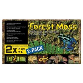 Substrato Exo Terra Forest Moss