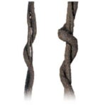 Exo Terra Jungle Vine