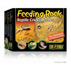 Exo Terra Comedouro Feeding Rock