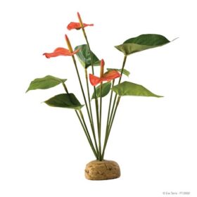 Exo Terra Decoração Anthurium Bush