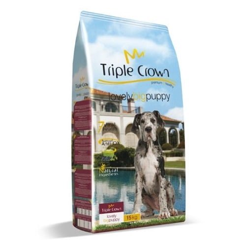 triple crown,Triple Crown Big Puppy