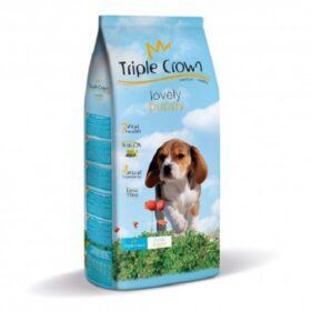 Triple Crown Lovely Puppy