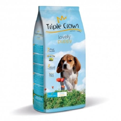 Triple Crown Lovely Puppy,triple crown
