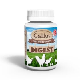 Gallus Digest