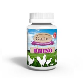 Gallus Rhino