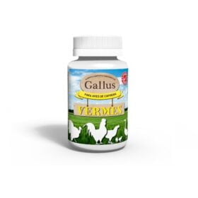 Gallus Vermes