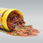 JBL NovoBel - Imagem 2