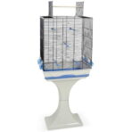 Conjunto Gaiola Ambra