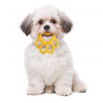 Brinquedo ORMA - Imagem 2