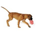 Brinquedo ORMA - Imagem 3