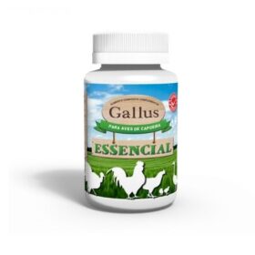 Gallus Essencial