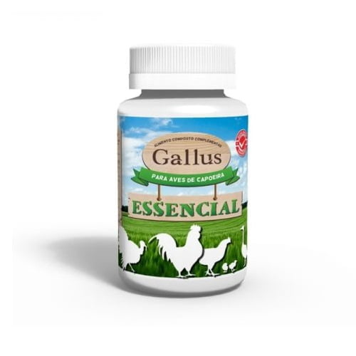 gallus essencial