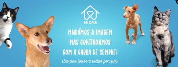 midas