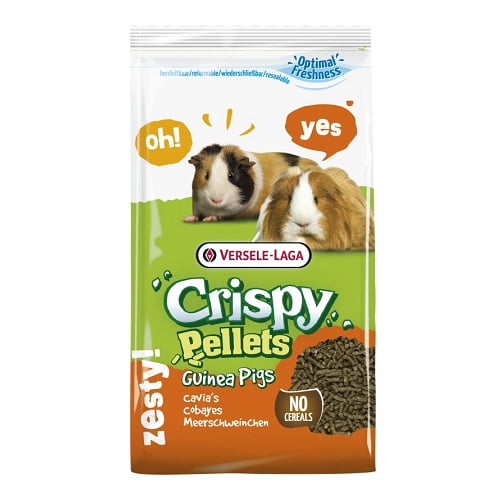 Crispy Pellets Guinea Pigs,Crispy Muesli Guinea Pigs,versele-laga,crispy muesli,porquinho-da-india