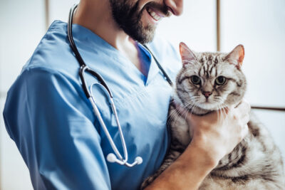 Medico-veterinario
